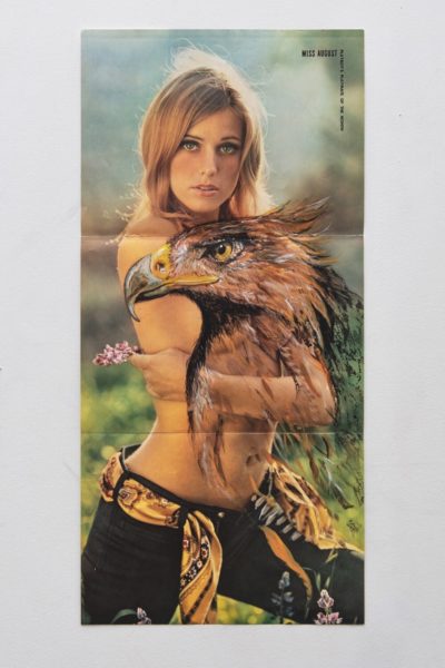 Aigle 71, 2020. Acrylique sur poster, 28 x 59 cm.