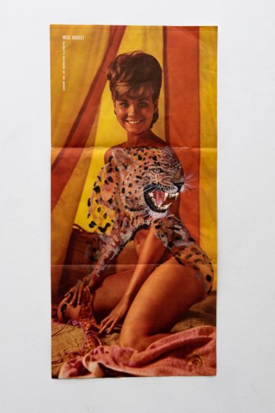    Panthère 65, 2020. Acrylique, dents d’animaux sur poster, 28 x 59 cm.