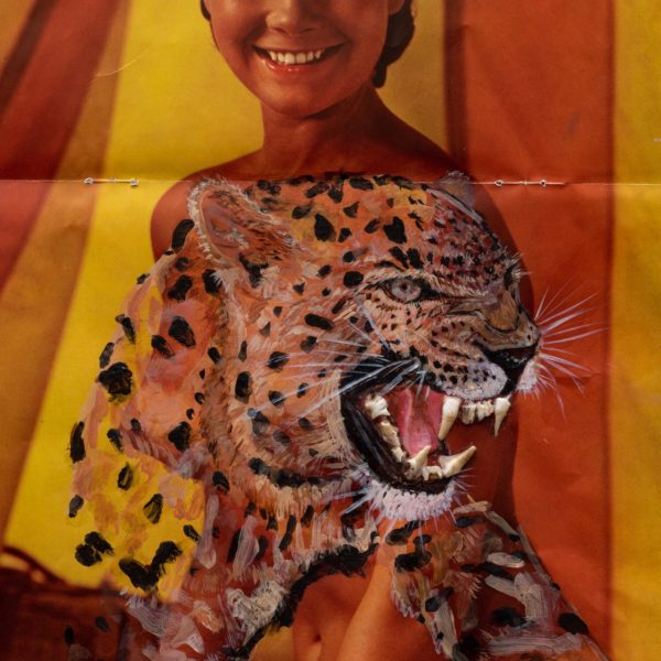 Panthère 65, 2020 (détail). Acrylique, dents d’animaux sur poster, 28 x 59 cm.